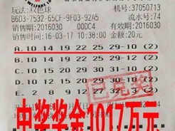 彩票迷思与理性之光，警惕一定牛彩票网背后的诱惑