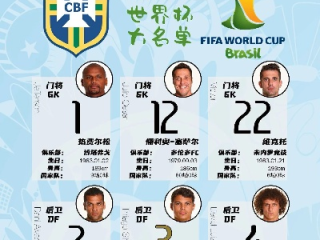 2012世界杯名单，一段被误读的记忆，一场未曾发生的盛宴