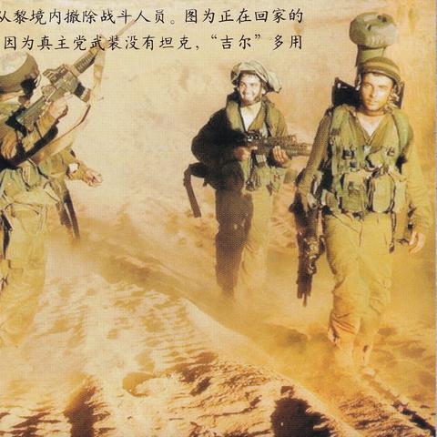 铁拳铸就的荣耀，2006亚运会散打冠军的传奇之路