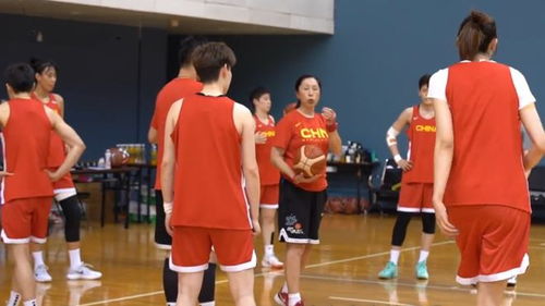 中国女篮名单揭晓，新老交替迎战国际赛场，核心阵容力争奥运佳绩