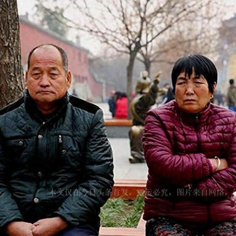 星空娱乐，虚拟世界的狂欢与现实的沉思