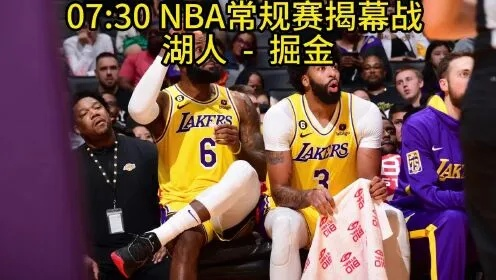 湖人vs今日直播在线观看，紫金军团激战正酣，免费高清入口全攻略