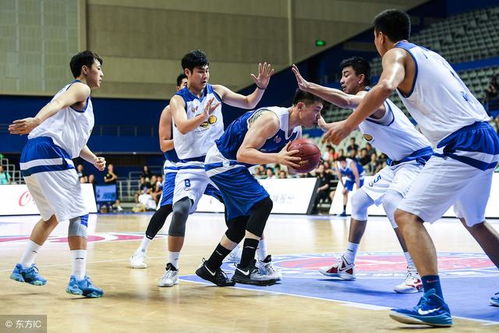 CBA半决赛巅峰对决，广厦与辽宁的激情碰撞