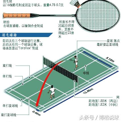 羽毛球场地标准尺寸是多少米？全面解析场地规格与划线要求