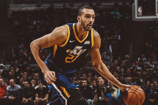 戈贝尔1换10,一场豪赌背后的NBA交易逻辑深度解析 戈贝尔1换10,一场豪赌背后的NBA交易逻辑深度解析
