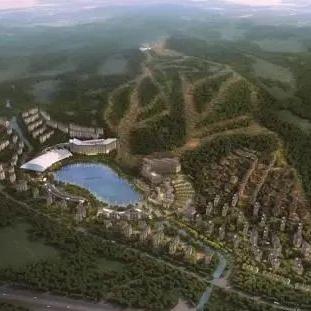2026年奥运冠军排名，冰雪巅峰的荣耀与格局