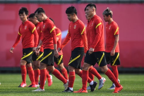 国足世界杯中国队名单,梦想照进现实,我们准备好了吗? 国足世界杯中国队名单,梦想照进现实,我们准备好了吗?