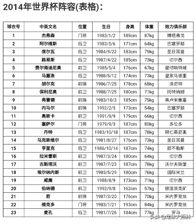 绿茵王座，2014年巴西世界杯球队实力排名的深度回顾