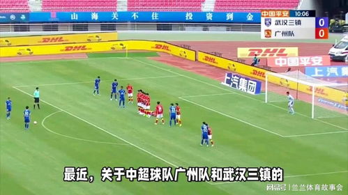 2024赛季武汉三镇足球俱乐部一线队完整名单与深度分析