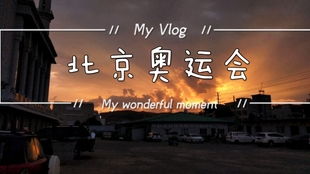 金牌铸就辉煌，2008年北京奥运会中国代表团的金牌记忆