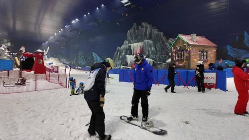 冬奥比赛项目有哪些，从冰雪竞技到极限挑战